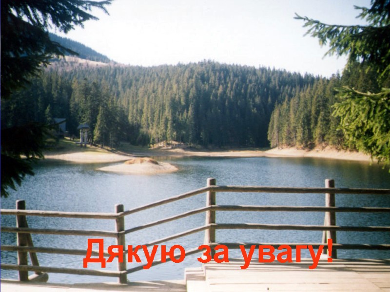 Дякую за увагу!